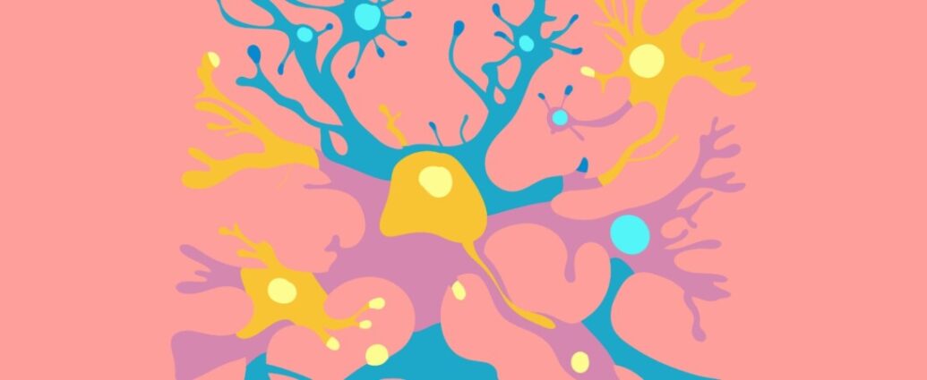 ADHD en neurotransmitters