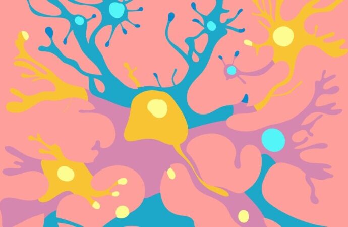 ADHD en neurotransmitters