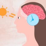 Melatonine en ADHD