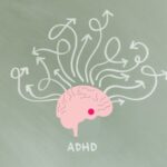 Amygdala ADHD